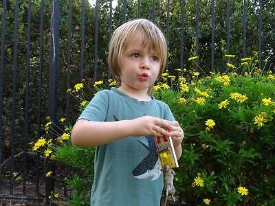 Charlotte pest control